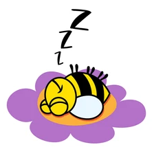 Sleeping Bee